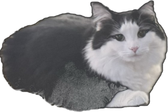 Rabbi Floofenberg